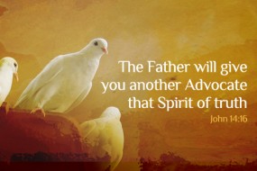 Sunday Easter 25 May Cycle 6_no 1 496-331