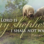 Sunday_Easter 11 May 496-331