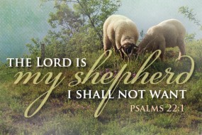 Sunday_Easter 11 May 496-331