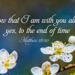 Sunday_Easter June 1st cycle 7 no 1496-331