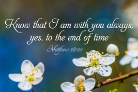 Sunday_Easter June 1st cycle 7 no 1496-331