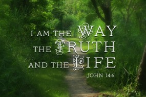 Sunday_Easter May 18 cycle 5 496-331