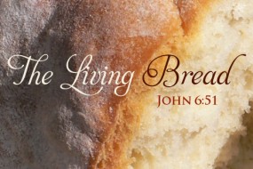 Sunday Corpus Christi 1 22 June 496-331