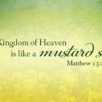 Sunday 16 cycleA no 1 496x331