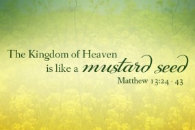 Sunday 16 cycleA no 1 496x331