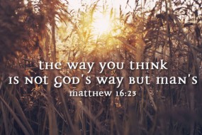 Sunday 22 cycleA no 1  496x331