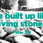 Sunday 32 cycleA no2