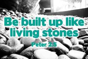 Sunday 32 cycleA no2