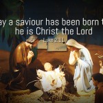 Christmas 2014 no 1  496-331