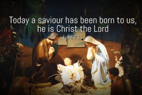 Christmas 2014 no 1  496-331