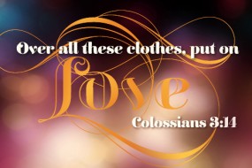 Christmas 2014 no 4    496-331