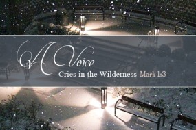 Sunday 2 Advent no 1  496x331