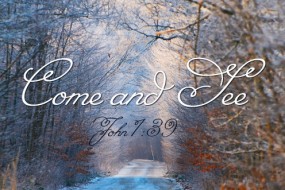 Sunday 2nd in Ord Time no 1  496x331