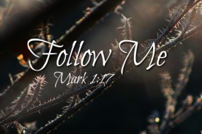 Sunday 3rd in Ord Time no 1  496x331