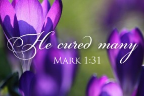 Sunday 5th in Ord Time no 1   496x331