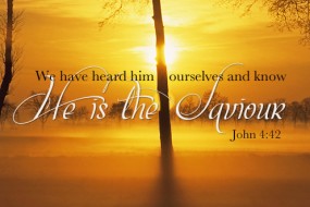 Third Sunday of Lent no 1  496x331