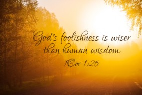 Third Sunday of Lent no 2  cycle B 496x331