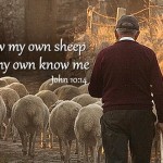 Fourth Sunday of Easter no 1