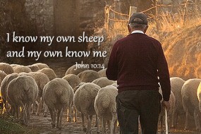 Fourth Sunday of Easter no 1