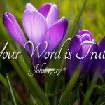 Sixth Sunday of Easter no 3