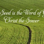 Eleventh Sunday in Ordinary Time  no 2  496x331