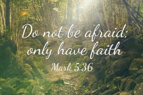 Thirteenth Sunday in Ordinary Time no 1