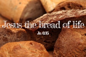 Eighteenth Sunday in Ordinary Time no 1