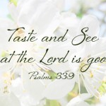 Fourteenth Sunday in Ordinary Time no 3