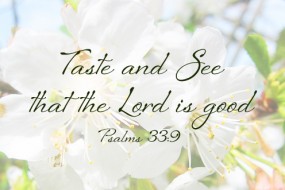 Fourteenth Sunday in Ordinary Time no 3