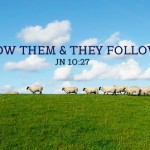 Sixteenth Sunday in Ordinary Time no 1