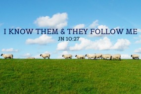 Sixteenth Sunday in Ordinary Time no 1