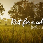 Sixteenth Sunday in Ordinary Time no 2