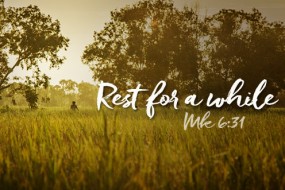 Sixteenth Sunday in Ordinary Time no 2