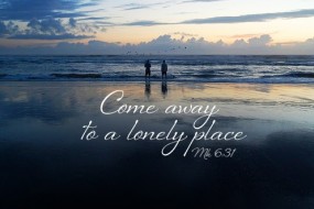 Sixteenth Sunday in Ordinary Time no 3