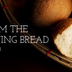 Nineteenth Sunday in Ordinary Time no 1