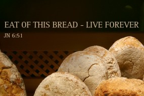 Nineteenth Sunday in Ordinary Time no 3
