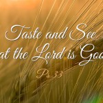 Twentieth Sunday in Ordinary Time no 2