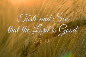 Twentieth Sunday in Ordinary Time no 2