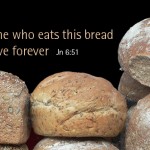 Twentieth Sunday in Ordinary Time no 3