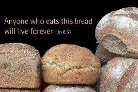 Twentieth Sunday in Ordinary Time no 3
