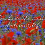 Twenty-First Sunday in Ordinary Time no 1