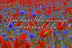 Twenty-First Sunday in Ordinary Time no 1
