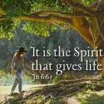 Twenty-First Sunday in Ordinary Time no 2