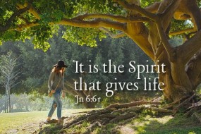 Twenty-First Sunday in Ordinary Time no 2