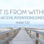 Twenty-Second Sunday in Ordinary Time no 1