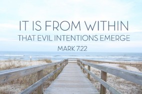 Twenty-Second Sunday in Ordinary Time no 1
