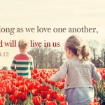 Twenty-Seventh Sunday in Ordinary Time no 2
