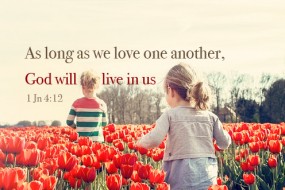 Twenty-Seventh Sunday in Ordinary Time no 2