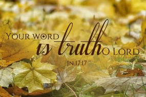 Twenty-Sixth Sunday in Ordinary Time