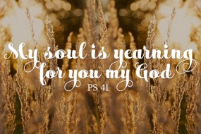 Twenty-Third Sunday in Ordinary Time no 3